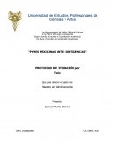 PYMES mexicanas ante contigencias