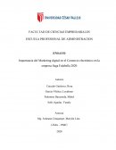 Importancia del Marketing digital en el Comercio electrónico en la empresa Saga Falabella 2020