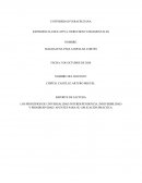 EXPERIENCIA EDUCATIVA: DERECHOS FUNDAMENTALES