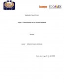 Generalidades de los cuidados paliativos. Caso Clínico