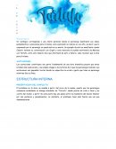 ESTRUCTURA DE LA OBRA TARTUFO