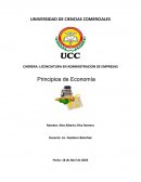 Sistemas de produccion avicola