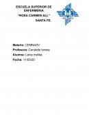 Patologías del embarazo