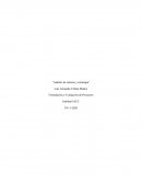 Análisis de entorno y estrategia