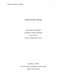 Análisis de la oferta y demanda