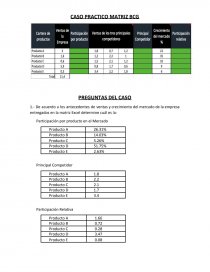 Caso practico Matriz BCG. Página 1
