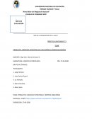 PRODUCTO: LOGÍSTICA ESTRATEGIA DE UNA EMPRESA COMERCIALIZADORA