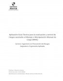 Aplicación Guía Técnica para la evaluación y control de riesgos asociados al Manejo o Manipulación Manual de Carga (MMC)