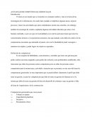 AUTOANÁLISIS COMPETENCIAS GERENCIALES