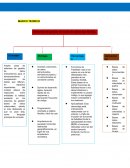 CODIGO DE PROGRAMACION DE LAS 7 TABLAS