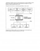 Logica cableada y programada