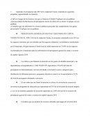 Previo de costos y presupuestos