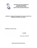 ORIGEN DE LA MUSCULATURA ESQUELÉTICA Y ARTICULACIÓN DE LOS MIEMBROS SUPERIORES E INFERIORES