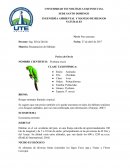 INGENIERÍA AMBIENTAL Y MANEJO DE RIESGOS NATURALES