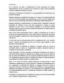 Exposición