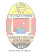 Análisis de línea de tiempo. Administración General