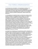 FACTORES CRIMINOGENOS