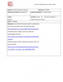 Estudio de mercado:investigación y segmentación del mercado