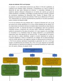 Acción de Linfocitos Th17 en la Psoriasis