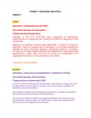 HIGIENE Y SEGURIDAD INDUSTRIAL