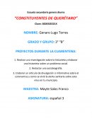 PROYECTOS DURANTE LA CUARENTENA: