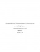 El administrador en prevención, sus funciones e instrumentos, y el desarrollo de una cultura preventiva