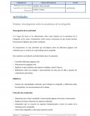 Investigación sobre la enseñanza de la ortografía