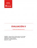 Caso empresa MGS S.P.A