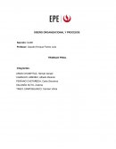DISEÑO ORGANIZACIONAL Y PROCESOS