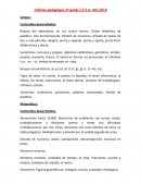 Informe pedagógico 3º grado