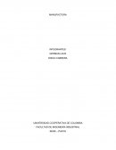 INVESTIGACION Empresa industrial designs