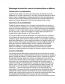 Estrategia de solución contra los feminicidios en México