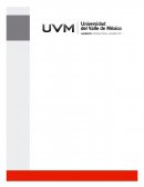 COMPETIDORES DIRECTOS