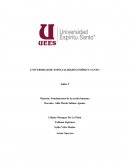 Fundamentos de la acción humana