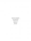 Ejecución de un diagnóstico