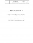 Manual calidad iso 9001