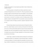 Análisis del entorno económico de Portugal (COVID'19)