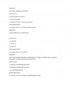 EFECTOS DEL PERDON DEL OFENDIDO