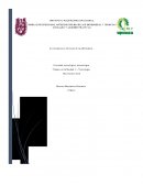 Tecnologia, su impacto en el mundo