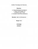 Calculo integral Unidad 4 Antologia