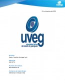 Definiendo el mercado meta Leche LALA