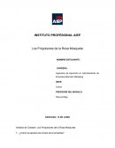 Análisis de Coesam: Los Propulsores de la Rosa Mosqueta