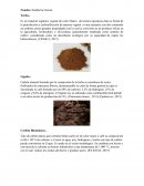 Recursos de la Tierra y el medio ambiente