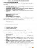 El servicio de transporte terrestre