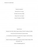 Seminarios de competitividad Sistemas de indicadores