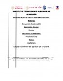 PROYECTO GUMAIG