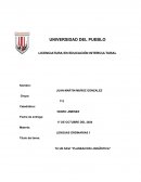 TU UN SAVI “PLANEACION LINGÜÍSTICA”