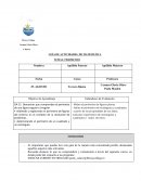 Prueba de Matemáticas 3 básico, Perímetro