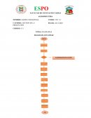 DIAGRAMAS DE PROCESO
