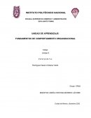 Unidad 4 de Comportamiento Organizacional